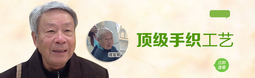 中老年假發