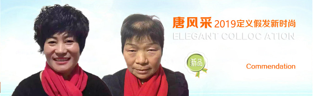 中年女性假發