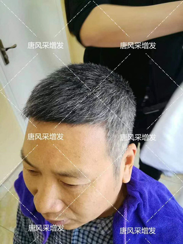 老年短假發 老年短假發全真發的好嗎? 主要是用來遮白發的!