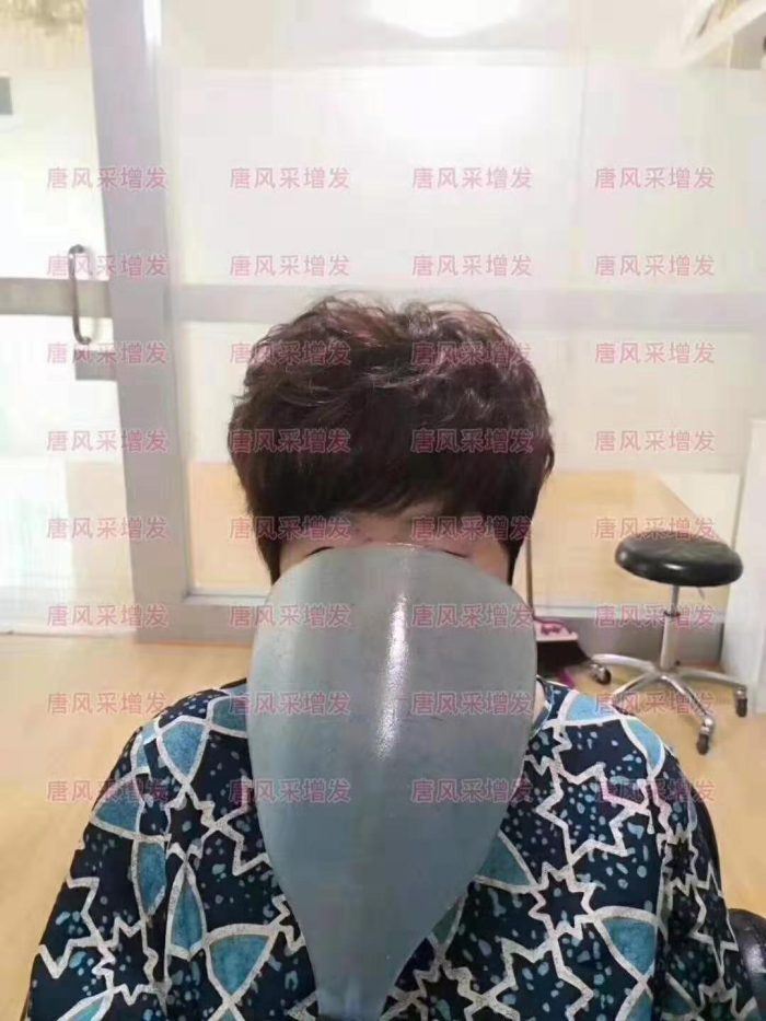 新款中老年女式假發套