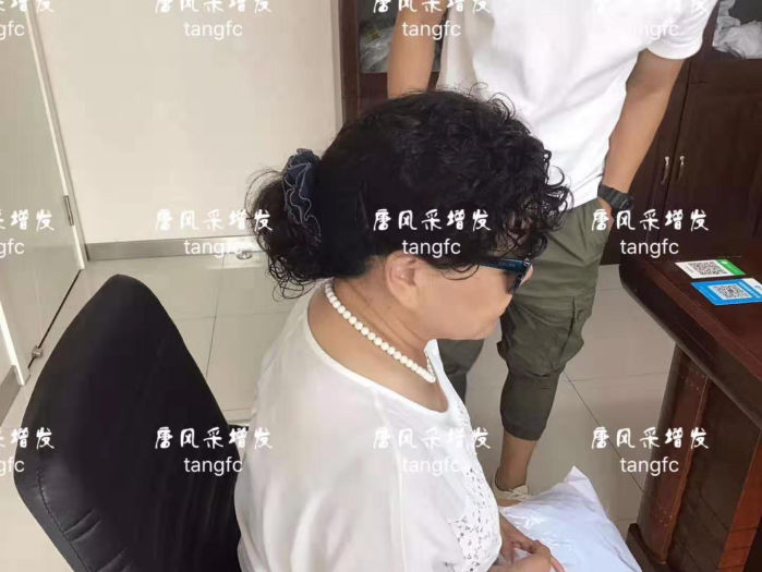 中老年女式假發套
