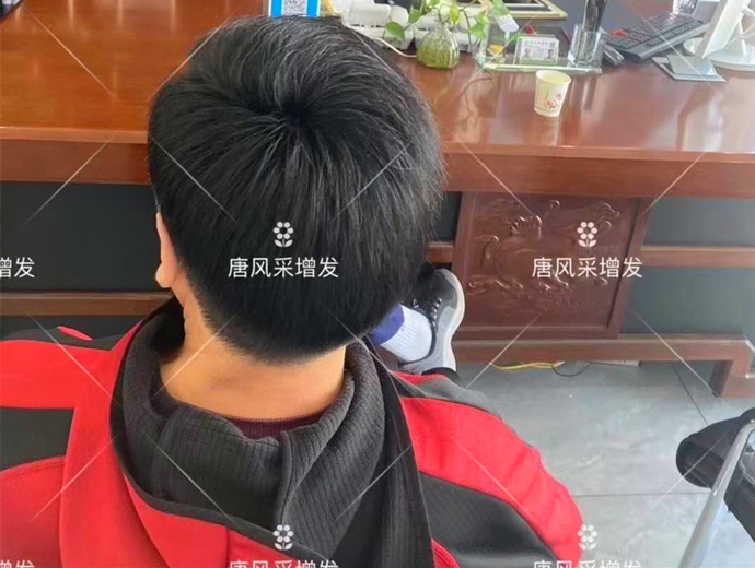 中年男士假發 \