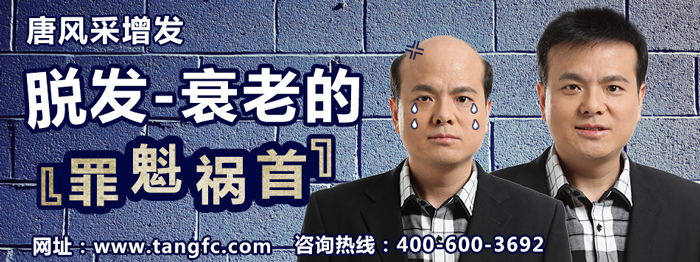 真發假發品牌哪家好 \