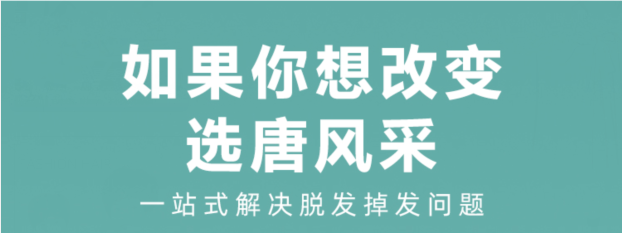 翻蓋式假發 \