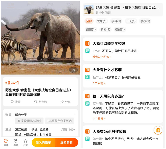 貴點的假發 \