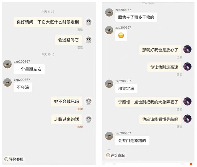 貴點的假發 \